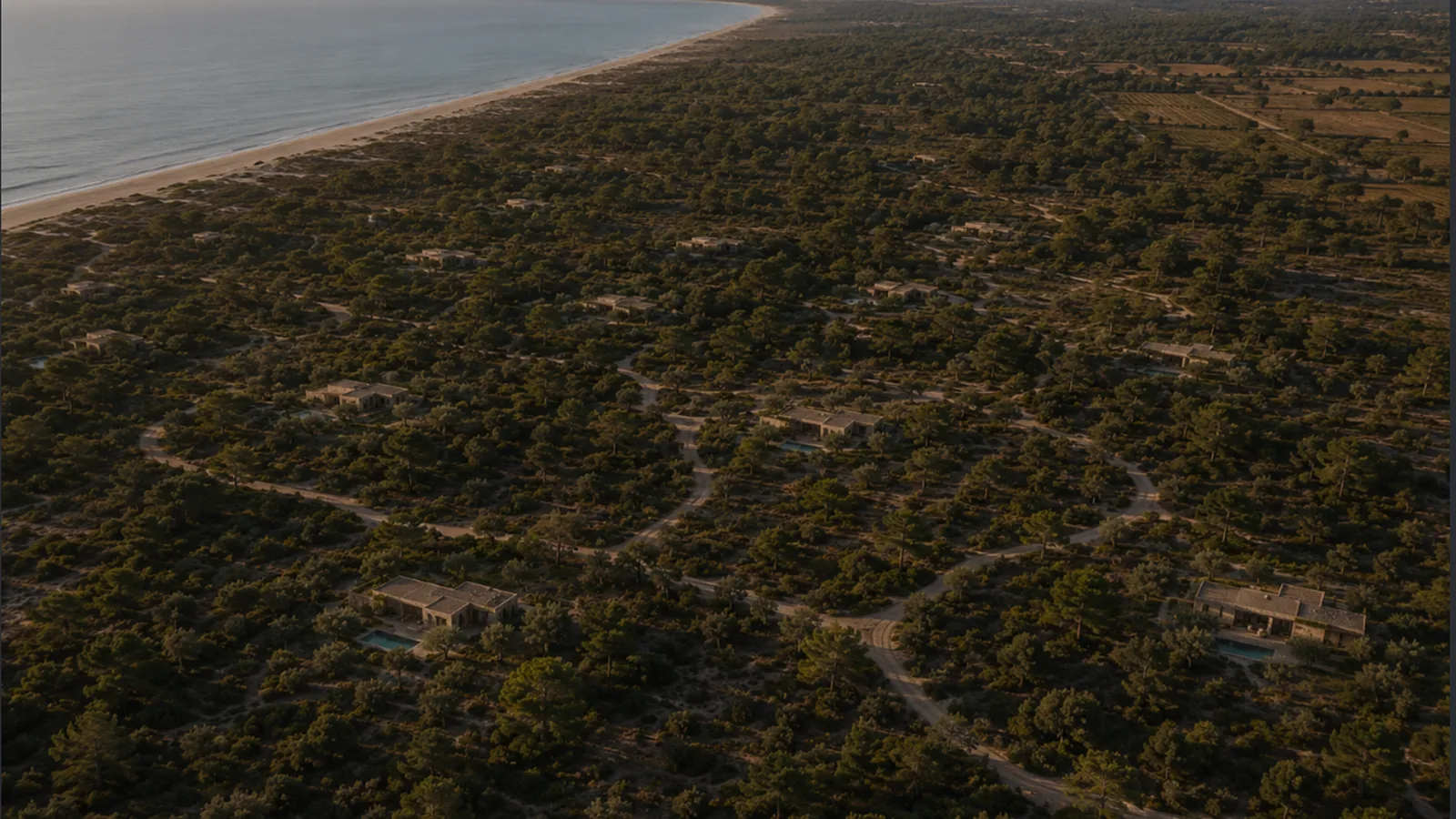 Aerial view of AERA low-density villas immersed in a planted landscape