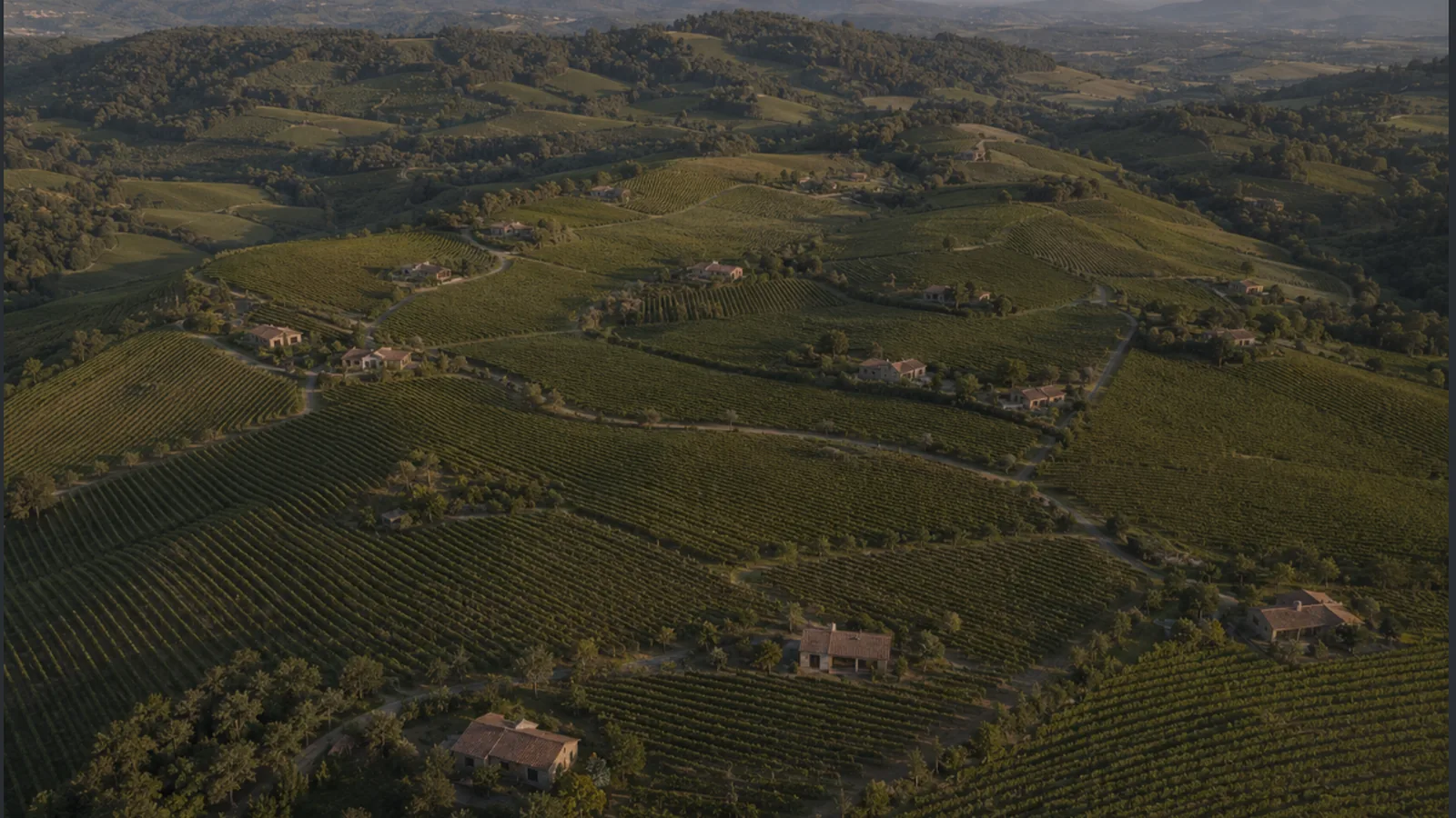 Pavillons ORIGO intégrés à un vignoble productif